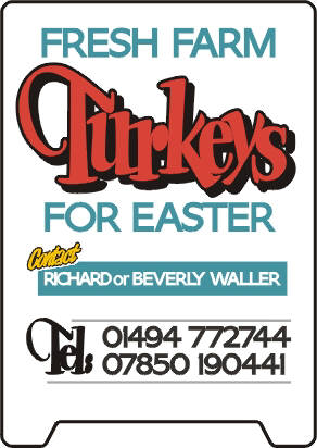 Fresh Farm Turkeys. Vinyl from hand painted template (grotesque) and Chesham Sans.  Fresh Farm Turkeys. Vinyl from hand painted template (grotesque) and Chesham Sans.